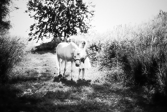 xUnicorn-22