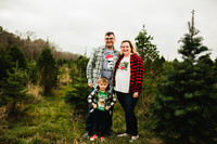 Tree Farm 2020-20