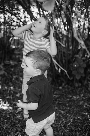 Daddy & I 2018 BW-271