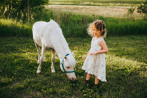 Pony 2021-24