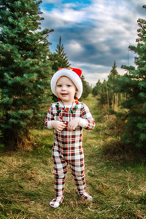 Tree Farm 2024-71