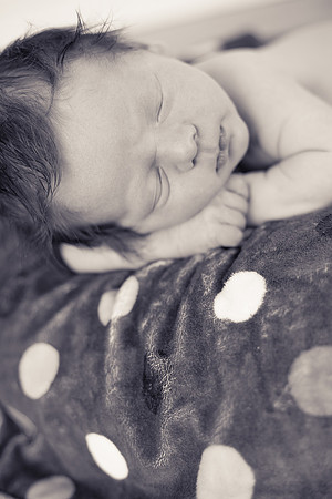Jayden Michael-116