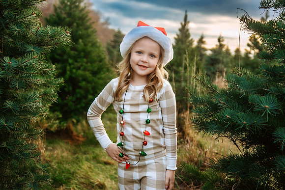 Tree Farm 2024-63