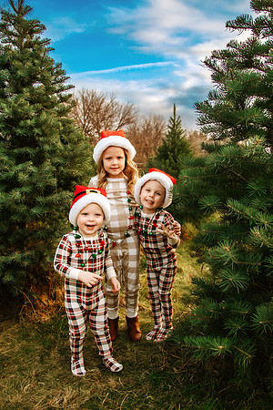 Tree Farm 2024-33