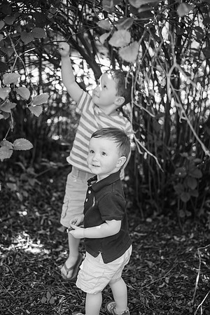Daddy & I 2018 BW-273