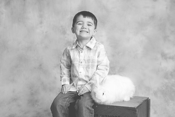 Bunny-2016-68