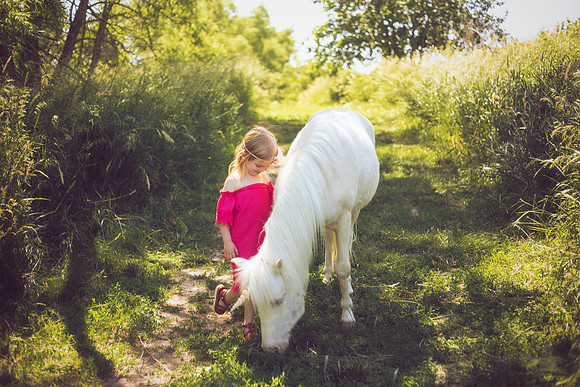 Unicorn-24