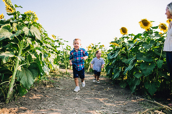 Sunflowers-42