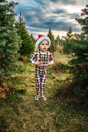 Tree Farm 2024-44