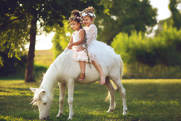 Unicorn-13