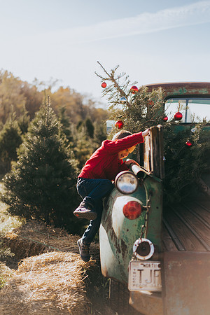 Tree Farm-67