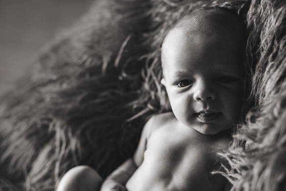 Wyatt NB-32b&w