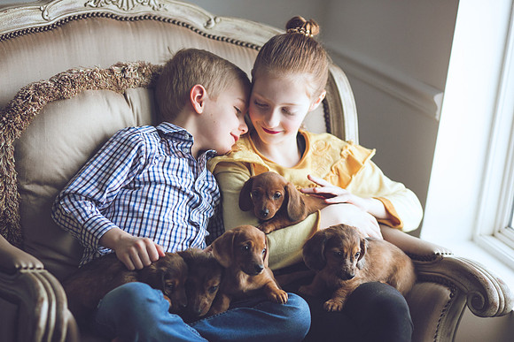 Puppies_-28