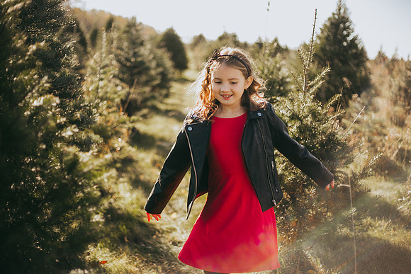 Tree Farm-52