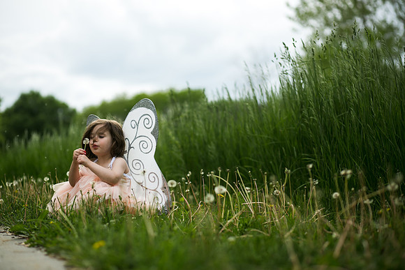 Fairy 2019-45