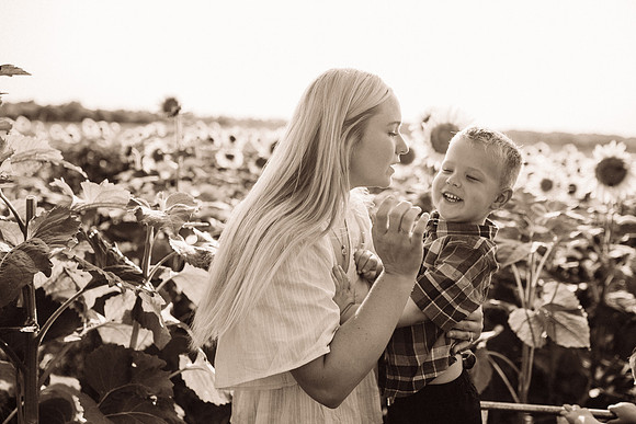 xSunflowers-90