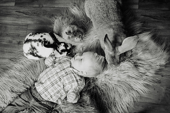 Oliver Bunnies-60