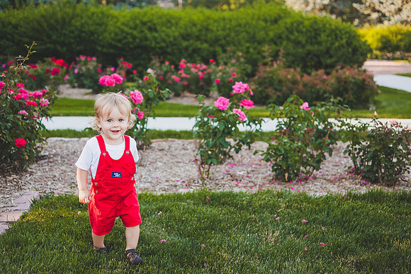 Zeek 1yr-3