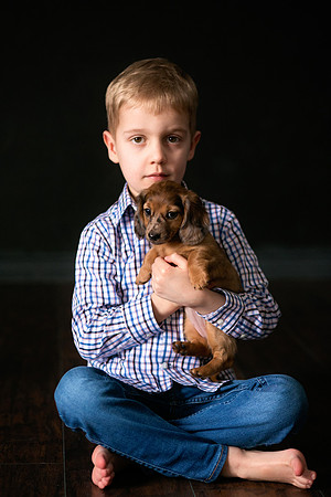 Puppies_