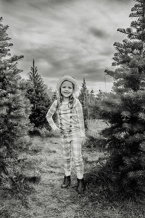xTree Farm 2024-61