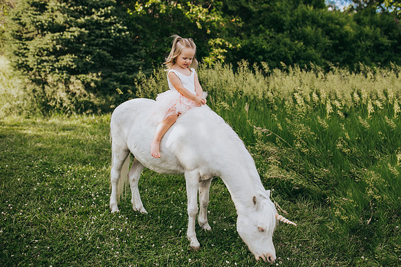 Unicorn 2021-23