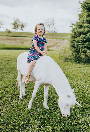 Unicorn 2021-28