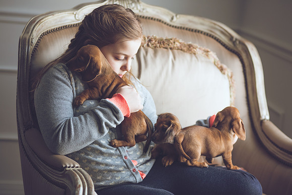 Puppies_-29