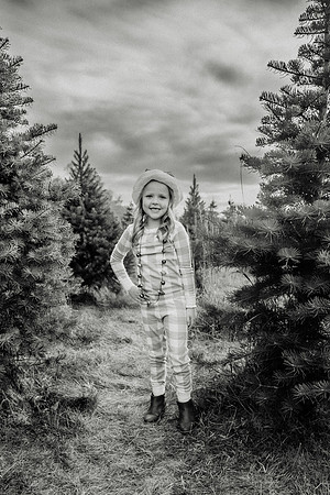xTree Farm 2024-60