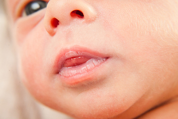 Cora Lynn Newborn-62