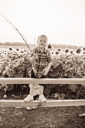 xSunflowers-169