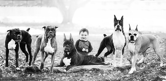 xPuppies 2020-8