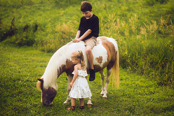 Unicorns 2019-30