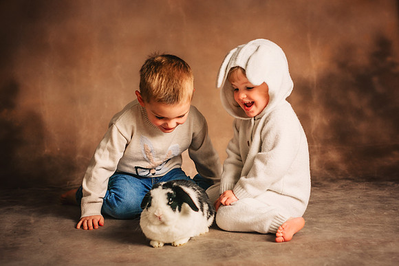 Bunny 2025-49