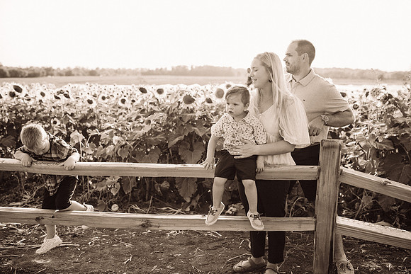xSunflowers-178