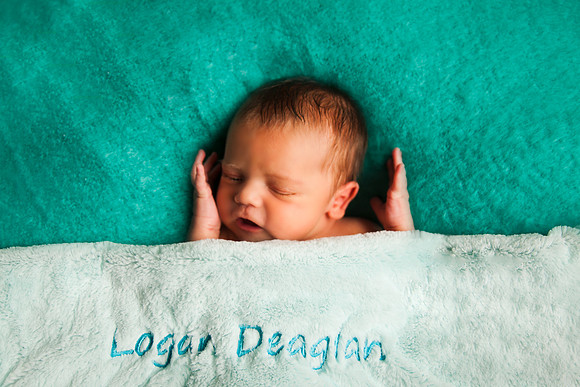 Logan NB-42