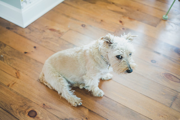 Pippa 5yr-57