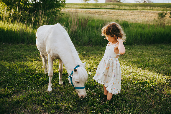 Pony 2021-25