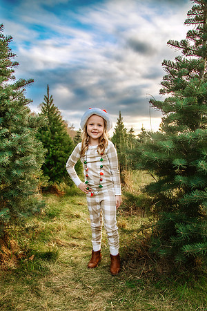 Tree Farm 2024-61