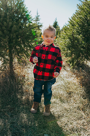 Tree Farm 2022-67