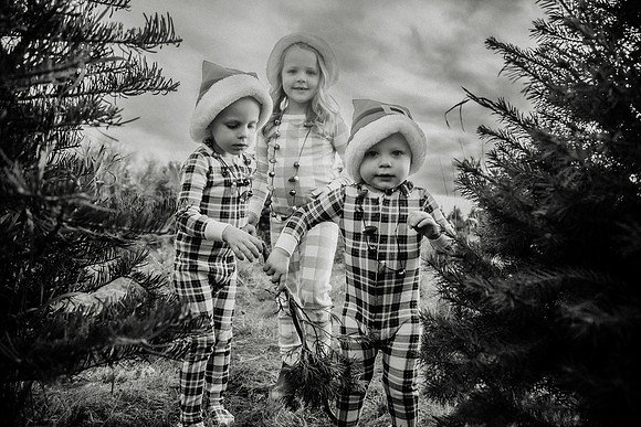 xTree Farm 2024-127