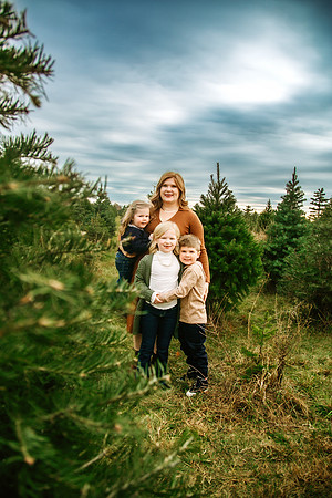 Tree Farm 2024-54