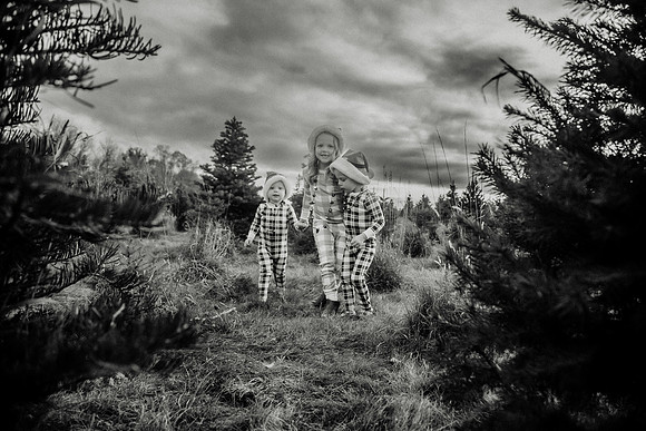 xTree Farm 2024-109