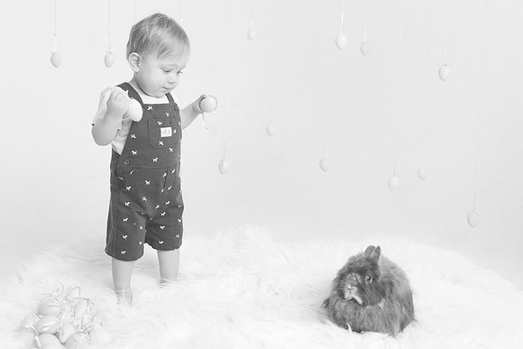 Toby-Bunny-2016-39