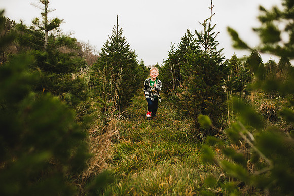 Tree Farm 2020-33