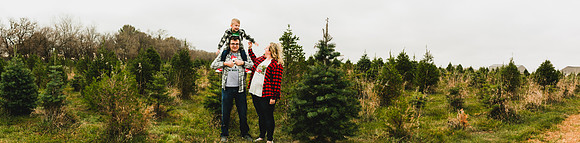 Tree Farm 2020-30