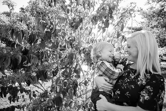 Family 2017-233