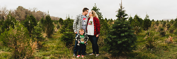 Tree Farm 2020-27