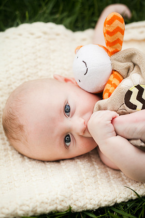 Quinn 4mth-68