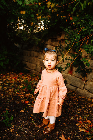 Fall 2024-26