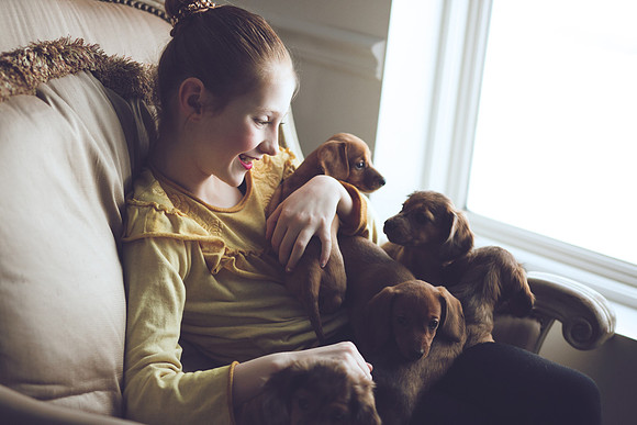 Puppies_-44